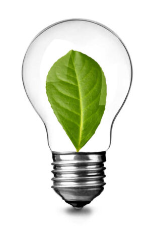 Sustainable lighting: Close-up of a light bulb with a green leave inside